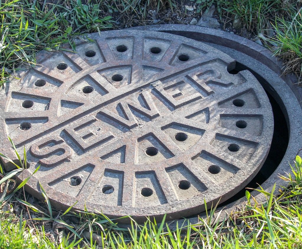 sewer, nature, grass